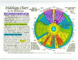 Iridology Chart Rainbow Laminated 8 5 X11