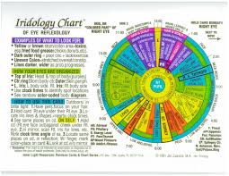 iridology chart rainbow laminated 8 5 x11