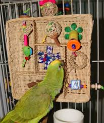 Diy parrot toys made with walnuts. Purchase Homemade Parrot Toys Up To 72 Off