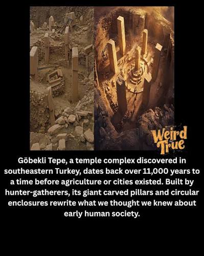 Weird - For centuries, we believed civilization began with writing, cities,  and farming—think Sumer. Göbekli Tepe shatters that story. Hidden beneath a  Turkish hill, this ancient temple complex was recognized only in