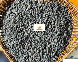 Image result for Piper guineense