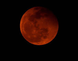 Image result for pictures blood red moons