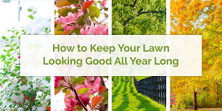 Grass cutting and lawncare services delivered by professionals will allow you to keep your lawn in they can offer advice on choosing the right type of grass and teach you how to care for it correctly. How To Keep Your Lawn Looking Perfect All Year Long Year Round Landscaping Tips