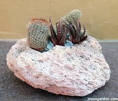 Some designs also have decors, such as tiny butterflies, a fountain and other ornaments. How To Create A Cactus Dish Garden Keep Your Finger Spine Free 9 Steps With Pictures Instructables