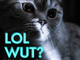 See more of stfu on facebook. What S The Meaning Of Brb Lmao Afk Rofl Ty And Np Turbofuture