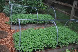 Here are 5 ways you can enrich your garden soil. 5 Ways To Enrich Your Garden Soil Dengarden