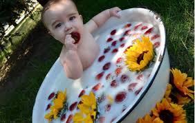 At least halfway, and then pour the milk into the water. Milk Bath Photography Diy Milk Bath Baby Baby Boy Baby Photos Six Month Old Milk Bath Photography Milk Bath Photos Bath Photography