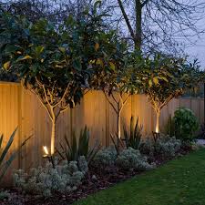 Uplit Trees Adding Interest Along The Fence In The Furthest Garden Segment Privacy Fence Landscaping Small Backyard Landscaping Fence Landscaping