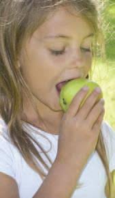 Massachusetts Partnership for Health Promotion and Chronic Disease  Prevention