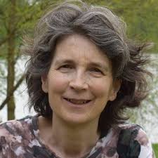 Stream Sheena Phillips (b. 1958) The Christmas Bird by  www.multitudeofvoyces.co.uk