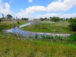 Jul 30, 2021 · state park app; Review Lake Somerville State Park Birch Creek Unit The Wordy Explorers