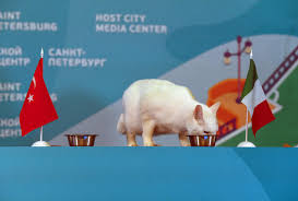 Entrano vaccinati, tamponi negativi e guariti dal covid. Agenzia Ansa On Twitter Euro2020 Il Gatto Achille Cacciatore Di Topi All Hermitage Di San Pietroburgo Chiamato A Prevedere Il Risultato Di Italia Turchia Partita D Esordio Degli Europei Questa All Olimpico Di Roma Ansa Https T Co Vplla6lynn