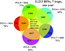 We now know that atoms are made up of differing numbers of electrons, neutrons and protons, and these too are made up of even smaller particles. Using Dna Barcoded Malaise Trap Samples To Measure Impact Of A Geothermal Energy Project On The Biodiversity Of A Costa Rican Old Growth Rain Forest