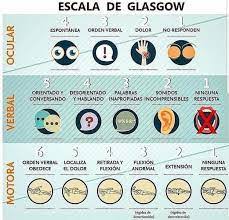 Escala de coma de Glasgow - Grupo El Residente