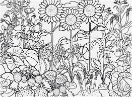 Now, choose your favorite printable coloring pages and let the fun begin. Flower Garden Printable Coloring Pages Novocom Top