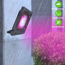 Maybe you would like to learn more about one of these? Cob Led Grow Light 150w Full Spectrum Waterproof Outdoor Plant Lights Grow Lights For Indoor Plants Veg Seedling Natural Heat Dissipation Without Noise For Plants Tent Greenhouse Garden Hydroponic Amazon Com Au Garden