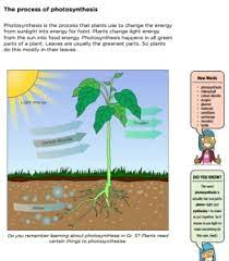 4 natural science technology textbooks with videos grades 4 6 best ed lessons