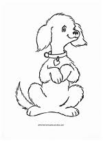 Coloring pages for children : Dog Coloring Page