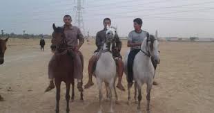 صور انطلاق مهرجان الخيول بقصر الباسل فى الفيوم اليوم السابع