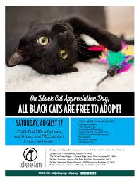 It's a good day for all cat and humankind. Black Cat Appreciation Day Lollypop Farm