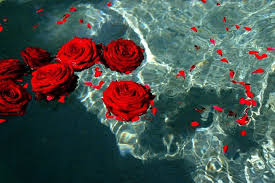 11 11 On Twitter In 2020 Dark Red Roses Red Aesthetic Aesthetic Wallpapers