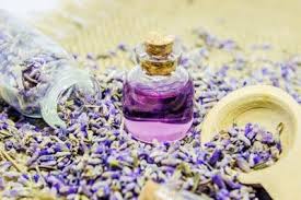 Lavanta Yaginin Saca Faydalari Lavanta Lavanta Sac Dogal