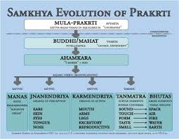Samkhya Cosmogeny In Asana Yoga Sutras Yoga Philosophy Patanjali Yoga Sutras