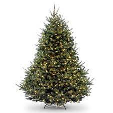 National Tree Company 7 5 Ft Natural Fraser Fir Full Pre Lit Christmas Tree Christmas Tree Clear Lights Fraser Fir Christmas Tree Fir Christmas Tree