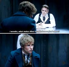 Fantastic Beasts And Where To Find Them The Look On Newt S Face Wow Fantastic Beasts Fantastic Beasts And Where Harry Potter Fantastic Beasts