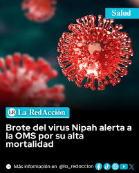 🔵#Mundo 🚨 BROTE DEL VIRUS NIPAH ALERTA A LA OMS POR SU ALTA LETALIDAD La Organización Mundial de la Salud (OMS) mantiene bajo vigilancia un nuevo brote del virus Nipah en India,