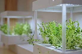 Comes complete with sturdy frame, fully adjustable light box and two 24 led bulbs. 10 Easy Pieces Grow Lights For Indoor Plants Gardenista