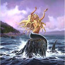 Get quick answers from suenos de la pincoya staff and past visitors. La Pincoya Chile By Solo Turismo Chile