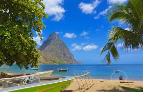St Lucia volcanic beach and palm trees