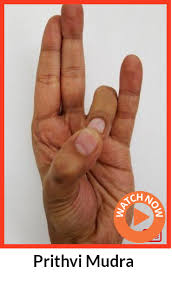 Prithvi Mudra Restaure Chakra Racine De L Energie Fournir La Nourriture A Tous Les Organes Ayant Une Deficience Quelconque Bo Mudras Yoga Hands Hand Mudras