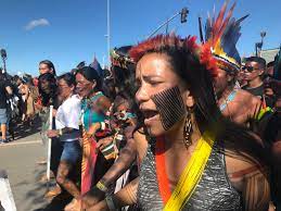 Aprenda como ganhar dinheiro com a amazon brasil. The National Interest Neofascism In The Amazon Rainforest Wrm In English