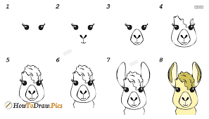 Draw a rounded square and a kind of oval with a protruding edge. How To Draw Llama Fortnite Easy Howtodraw Pics
