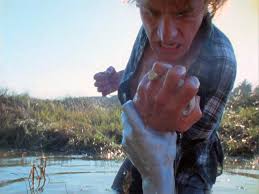 Fractal Accidents: Attachment and Agency in Chris Shaw's 'Split'