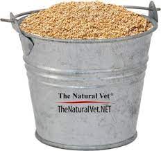 For The Health Of Horses Feed Oats But That S Not All
