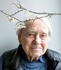 Phytospiritualité: Bout du monde