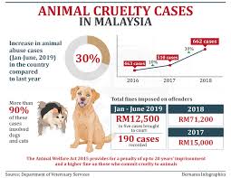 This enables for those who oppose to the abuse of animal. Animal Abuse In Malaysia Statistic Andri