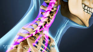 Pin On Learning About Health And Health Conditions
