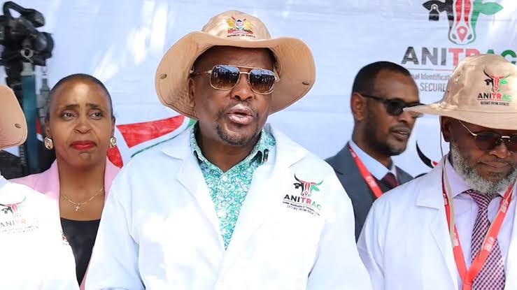 ANITRAC is a game changer for Kenya's livestock sector, boosting traceability, protecting animal health, and increasing farmers' access to high-value local and international markets.