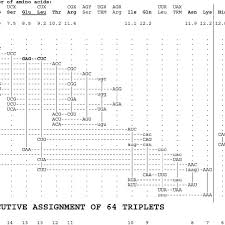 Evolution Of The Triplet Code The Chart Is Based On The