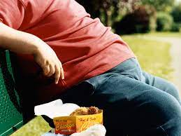 Ncd Silent Killer Unhealthy Food Habits Putting Millennials At Risk Of Non Communicable Diseases The Economic Times