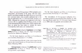 Image result for Eriospermaceae