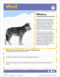 See more ideas about yellowstone, kids activity books, yellowstone vacation. Wolf Worksheet Education Com