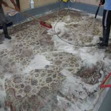 We've been cleaning carpets, rugs, and upholstery for over 30 years. Wool Oriental Rug Cleaning Northern Va Astrobrite Carpet Cleaning Fairfax Va Northern Va Rugs