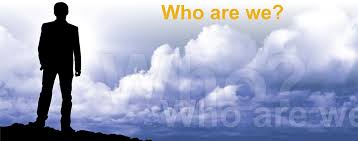 • optically clear skirt —aids in visualization of liquids and improves stacking capabilities in automated handling systems. The Armadillo Design Company