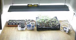 Check spelling or type a new query. How To Build An Indoor Grow Lights System