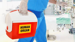 Pusat sumber mtib telah beroperasi semenjak tahun 2002 dengan menggunakan sistem integrated library management utility (ilmu). Dampak Covid 19 Donor Organ Dan Transplantasi Menurun